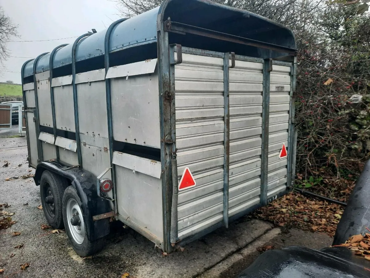 12ft cattle trailer - Image 2