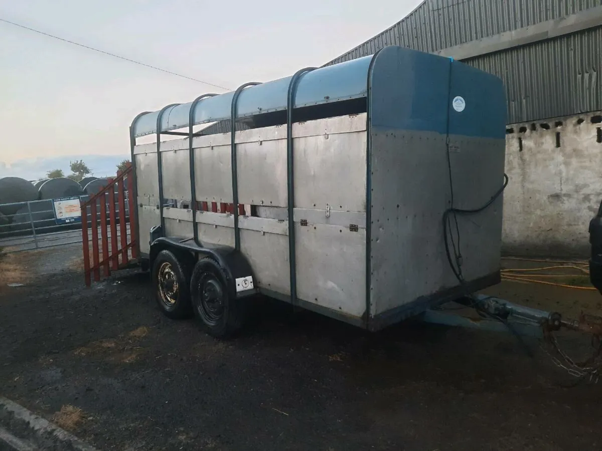 12ft cattle trailer - Image 1