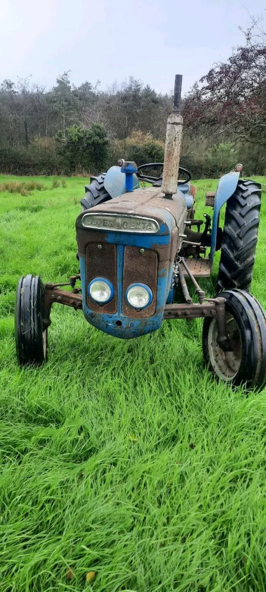 SUPER DEXTA - Image 1