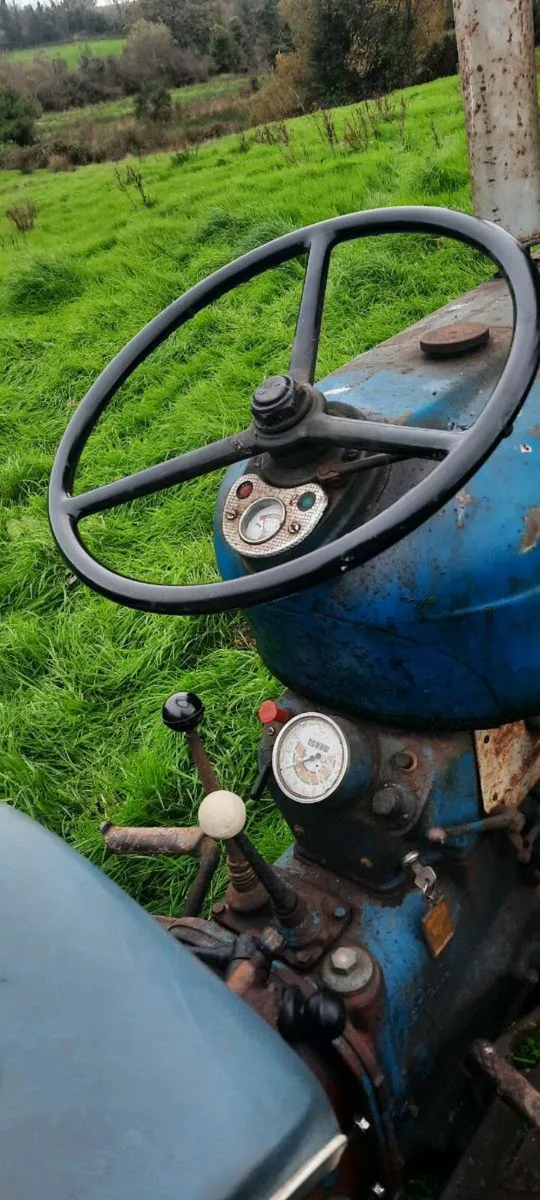 SUPER DEXTA - Image 2