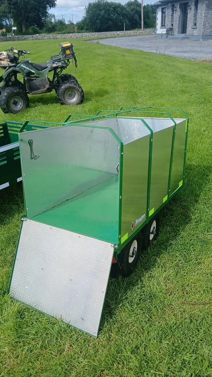 Go kart trailer - Image 2