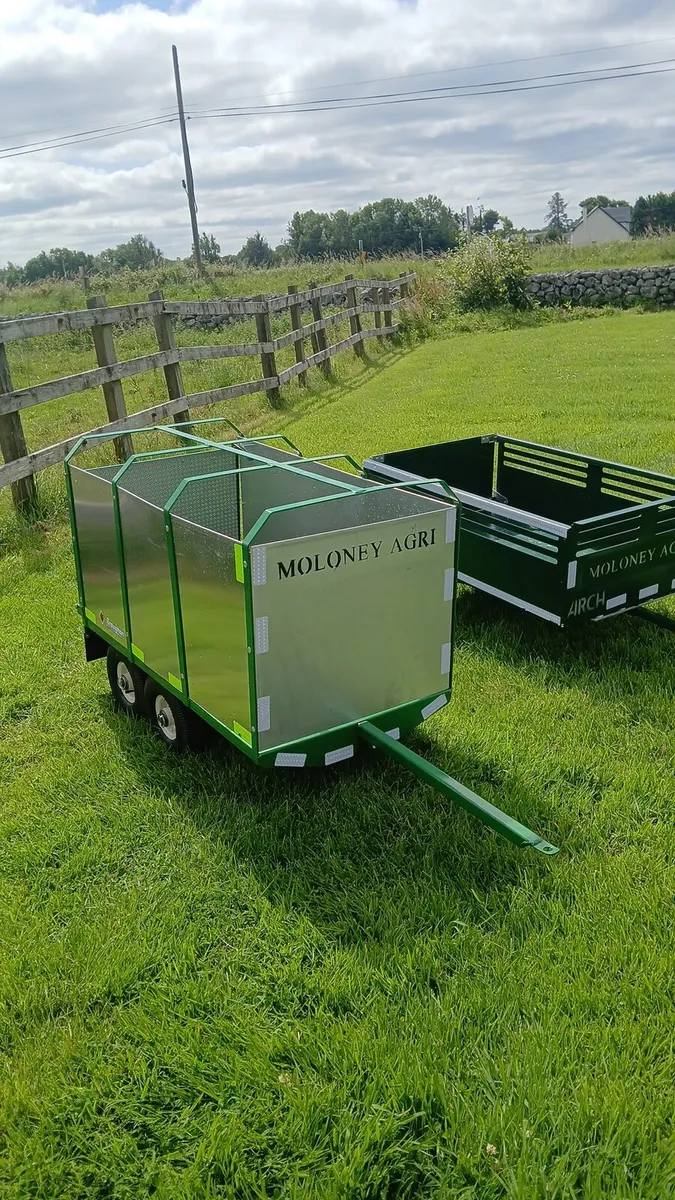 Go kart trailer - Image 3