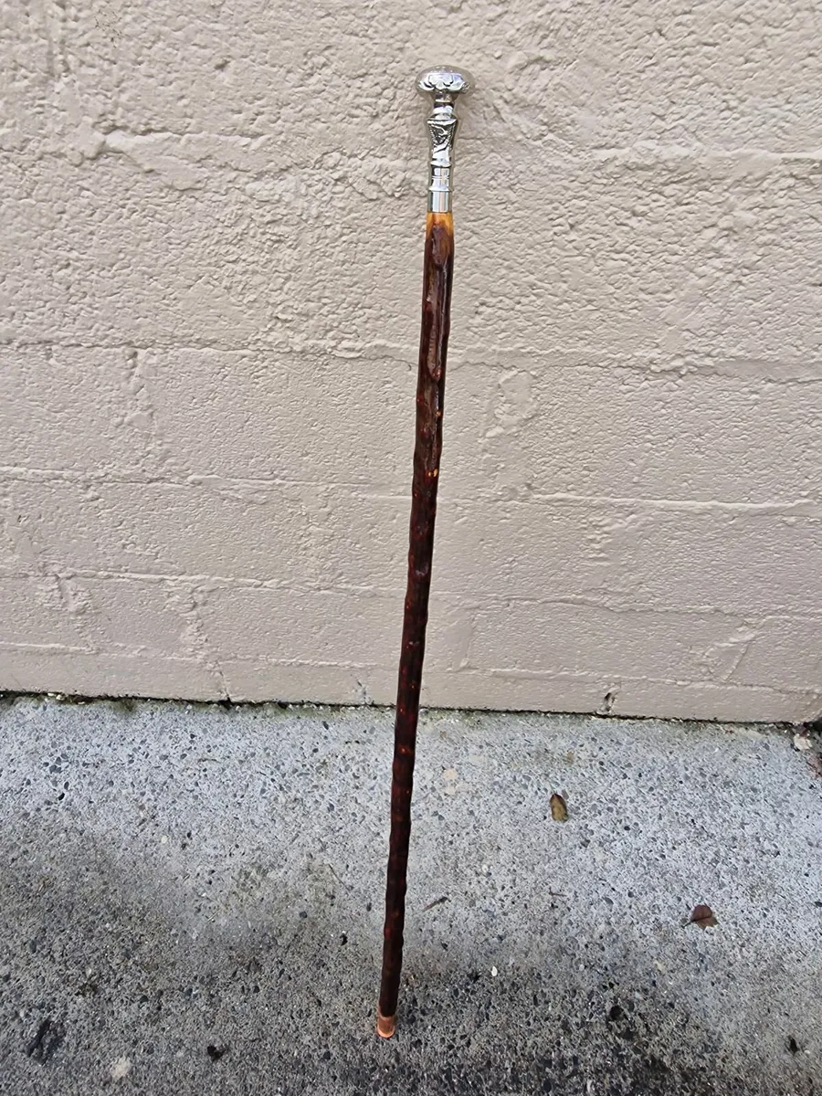 Walking/hiking sticks - Image 1