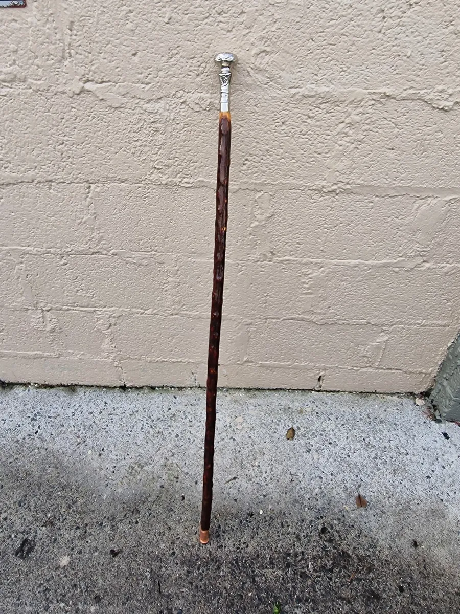 Walking/hiking sticks - Image 2