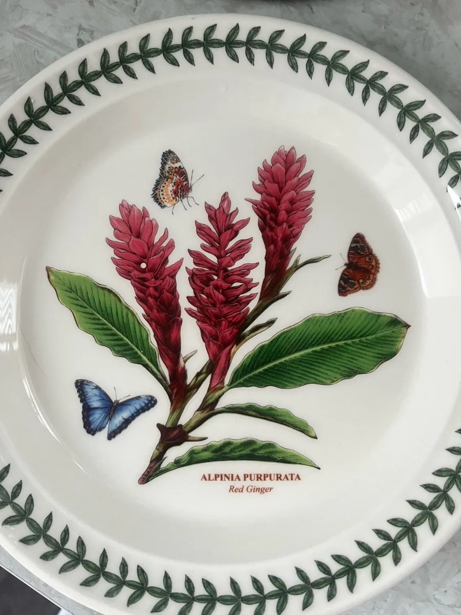 Plates still available for sale - Image 1