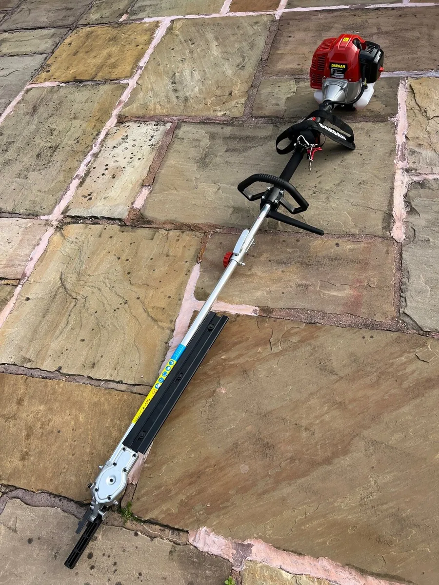 Dargan Petrol pole hedge trimmer - Image 3