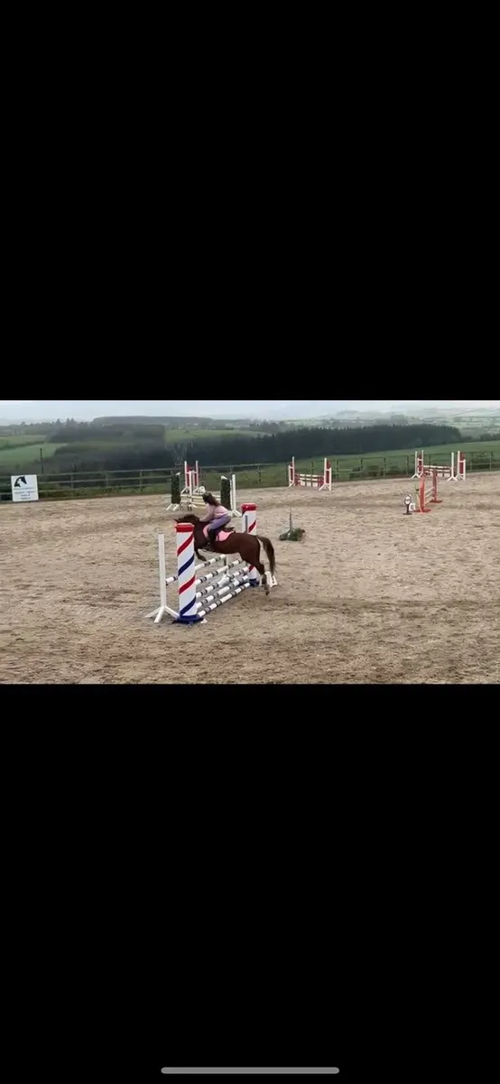 Elmbridge Mayflower - Image 4