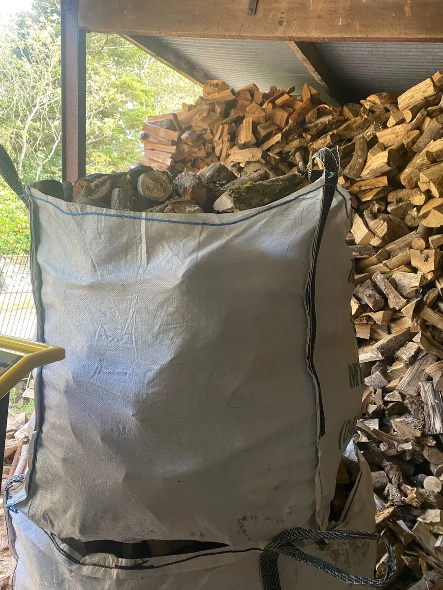 Fire wood timber - Image 1