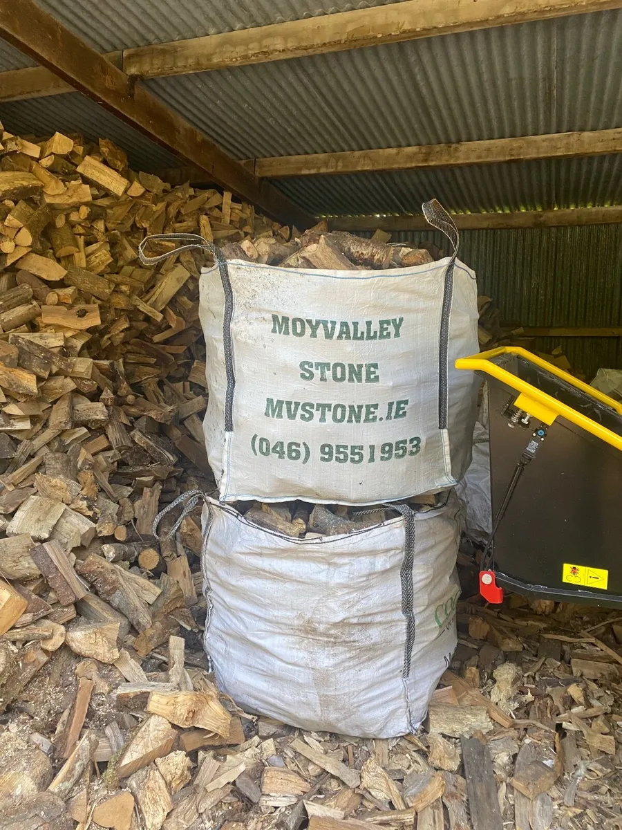 Fire wood timber - Image 2