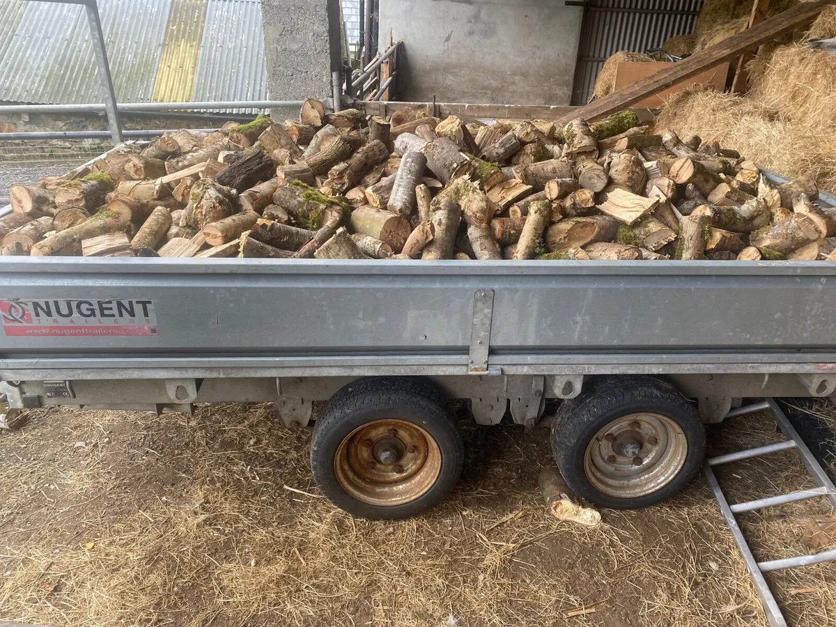 Fire wood timber - Image 3