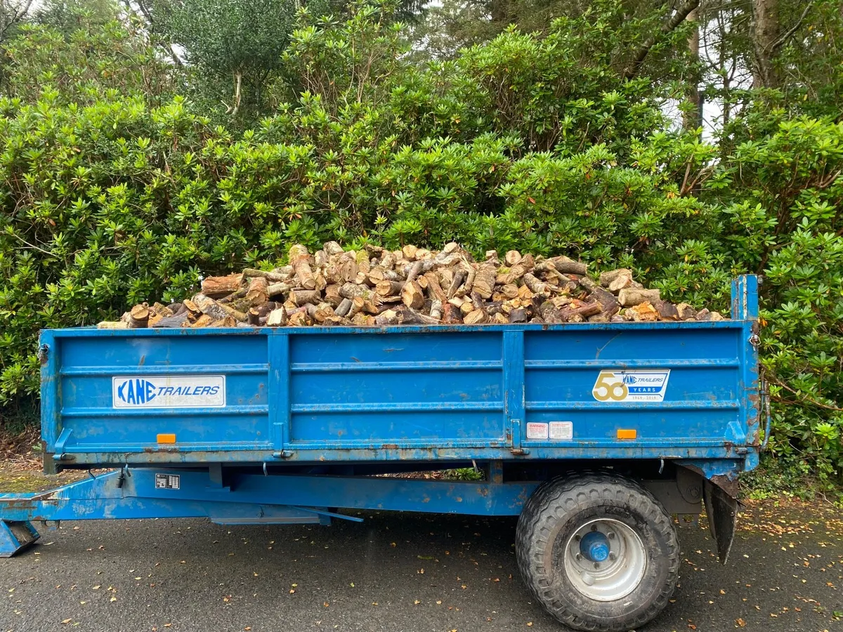 Fire wood timber - Image 4