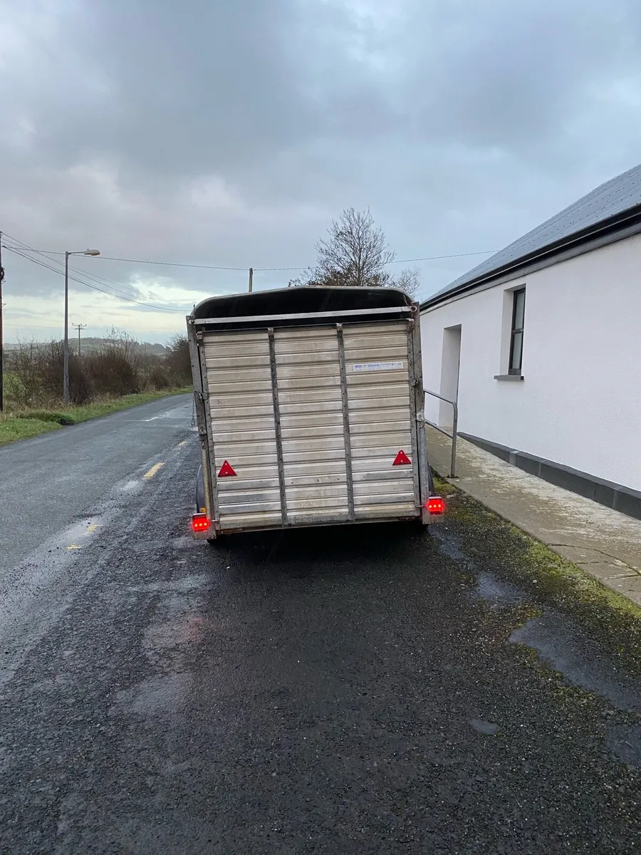 Ifor williams 12x6 - Image 2