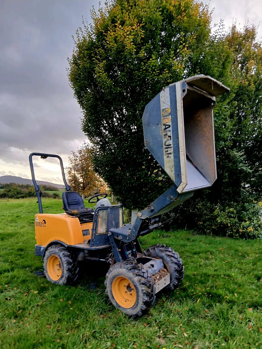 1.25 ton Dumper - Image 3