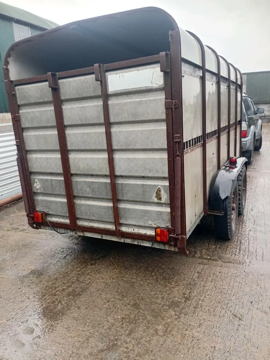 Cattle trailer - Image 2