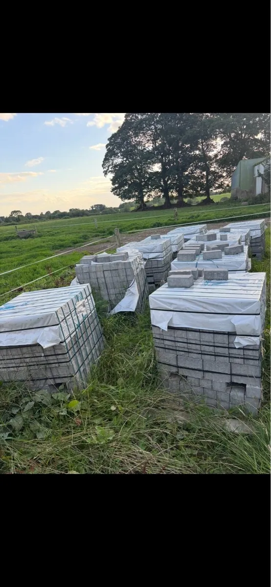 Paving Bricks - Image 2