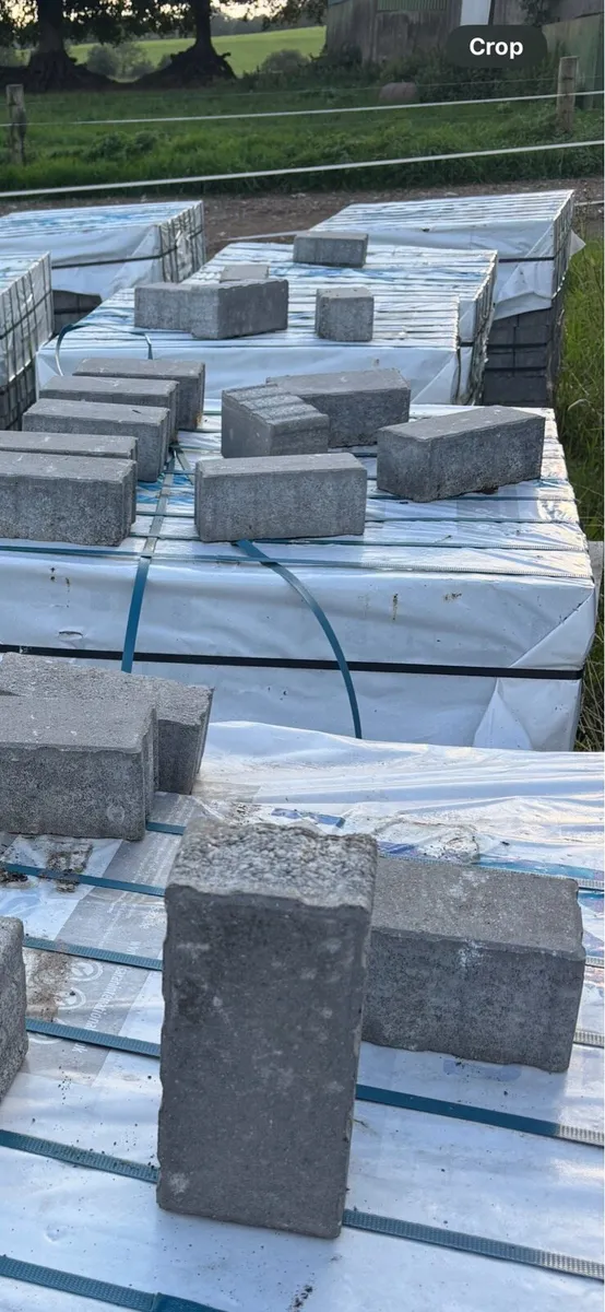 Paving Bricks - Image 4