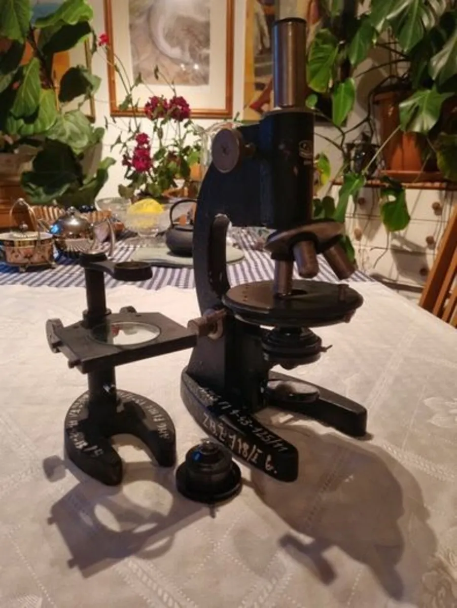 Vintage microscope - Medical Academy Gdansk - Image 2