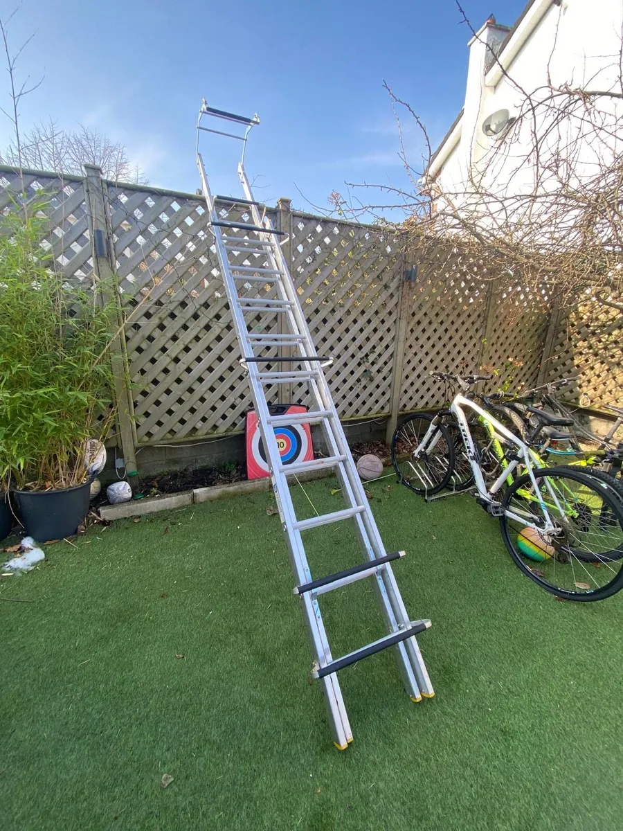 Roof Ladder - Image 1