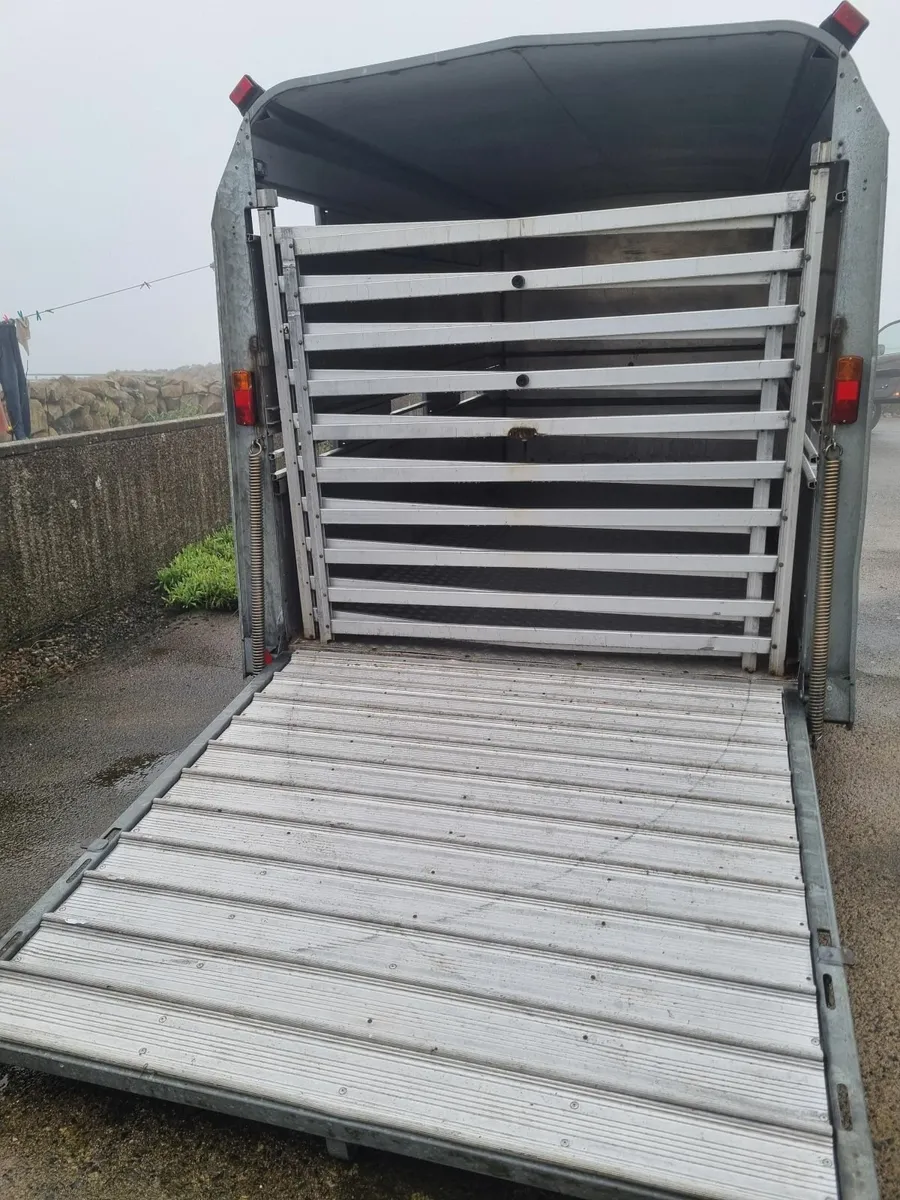 Ifor Williams - Image 2