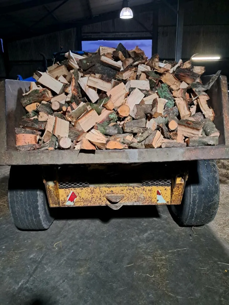 Firewood Westmeath area - Image 4