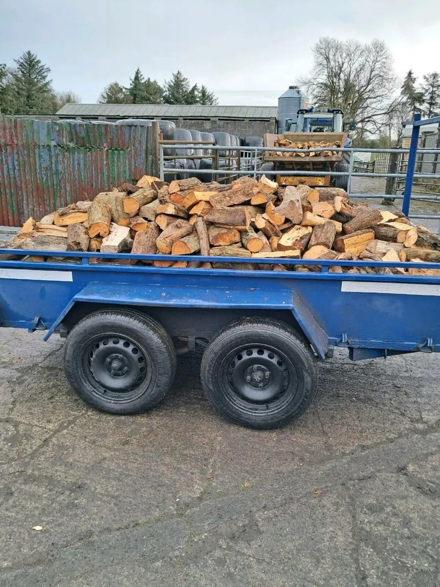 Firewood Westmeath area - Image 1