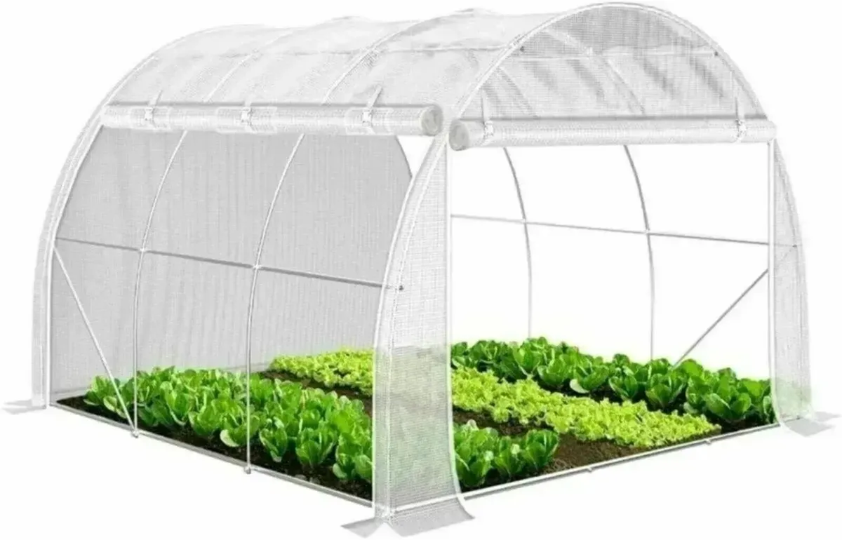 Greenhouse 3x2x2 m 6m² Poly Tunnels - Image 3