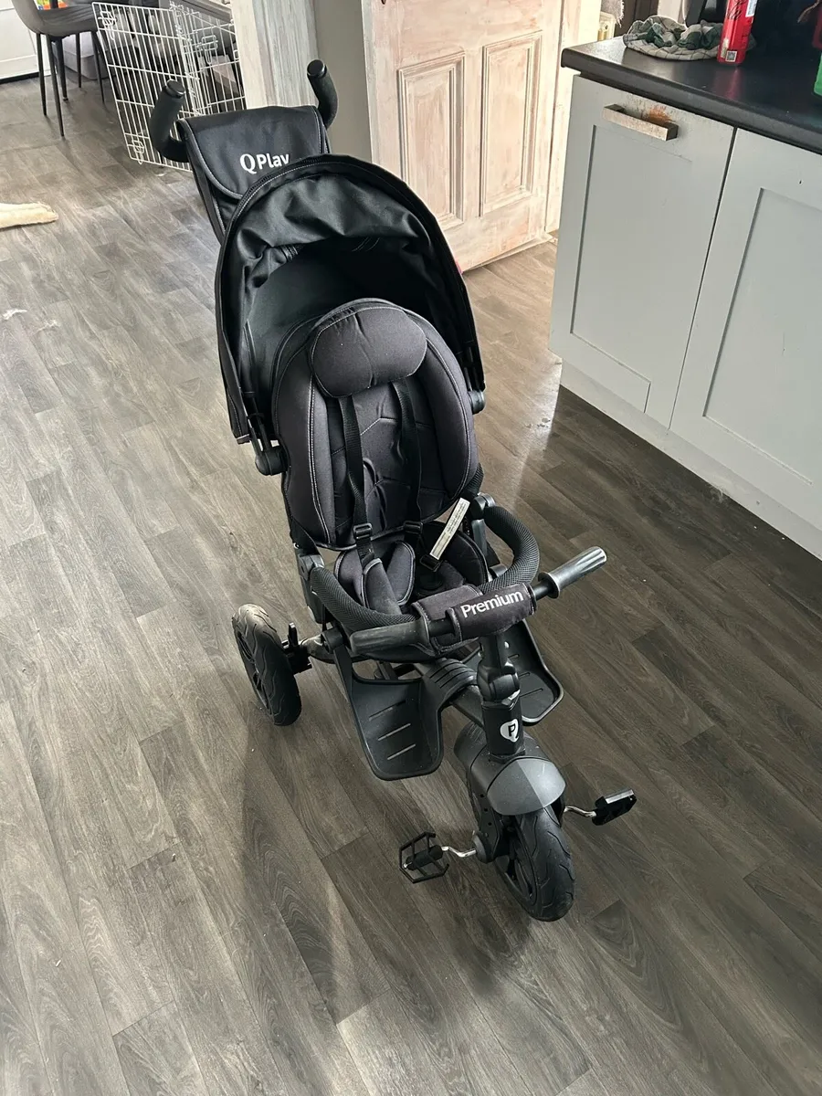 Kids trike - Image 1