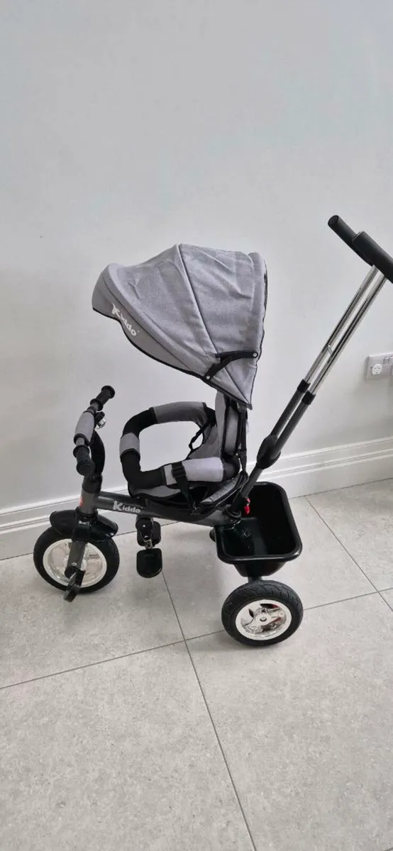Kids trike - Image 1