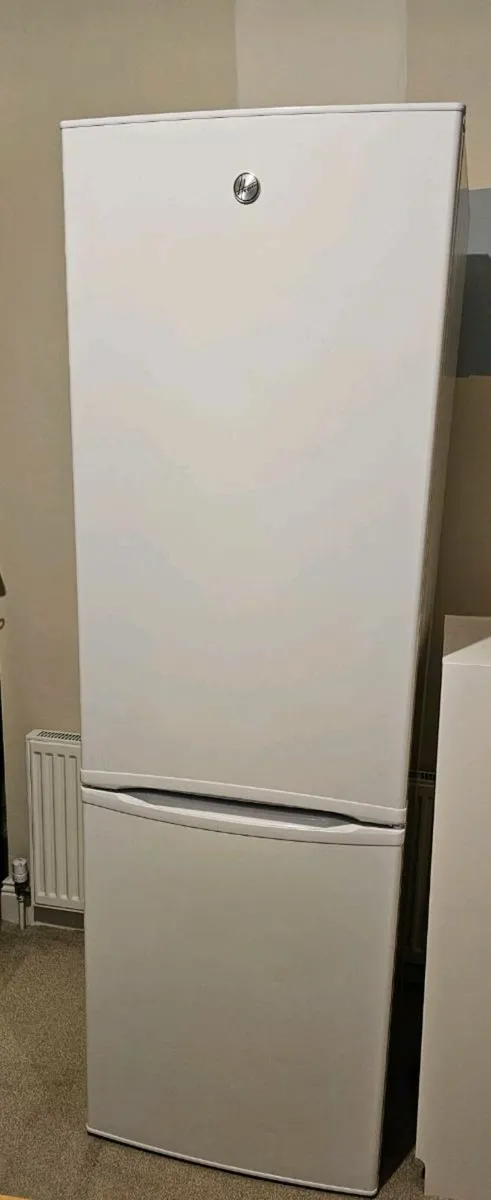 Fridge Freezer - Image 1