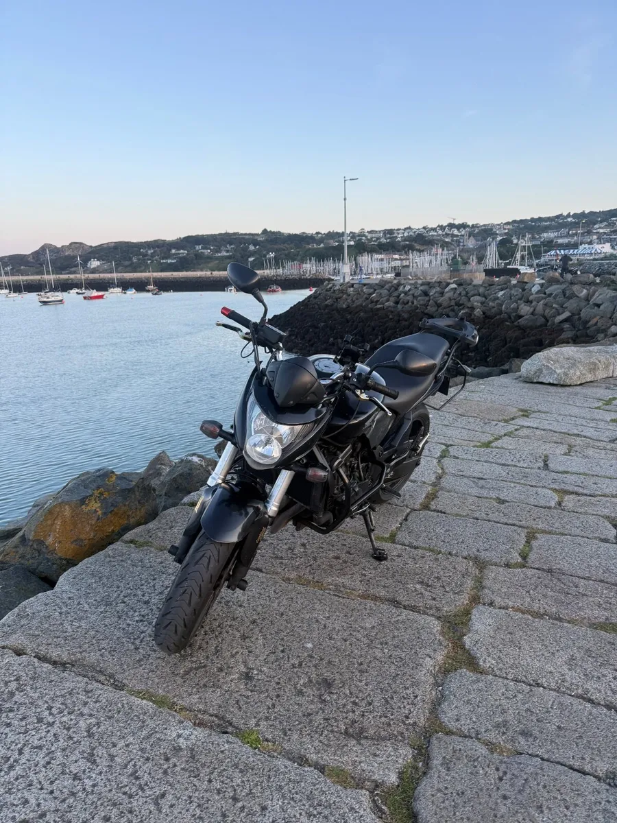 Honda Hornet 2012 - Image 2