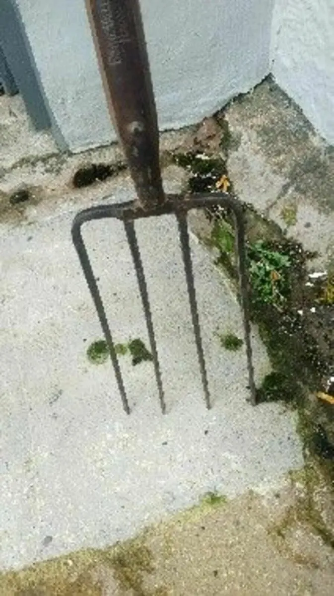 Rare Antique Boyne Valley Pike - Image 1