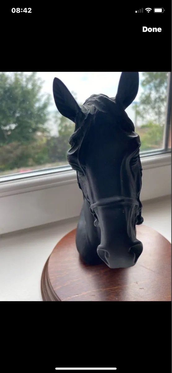 Vintage Black Resin Horse Head Display - Image 3