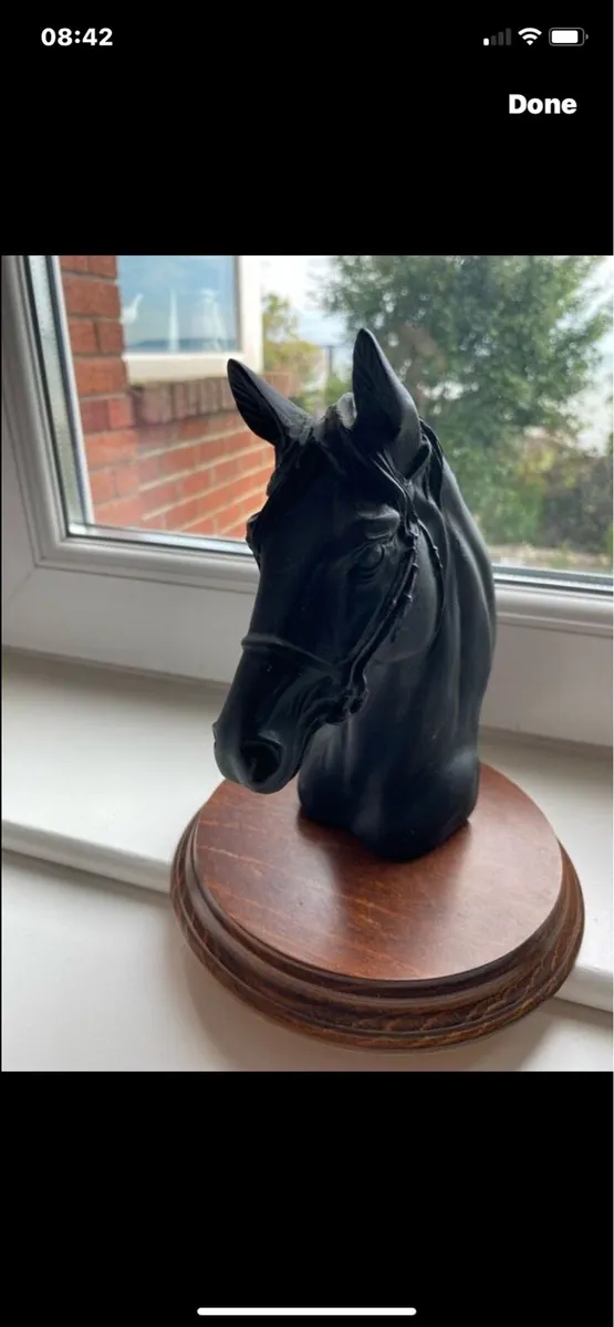 Vintage Black Resin Horse Head Display - Image 4