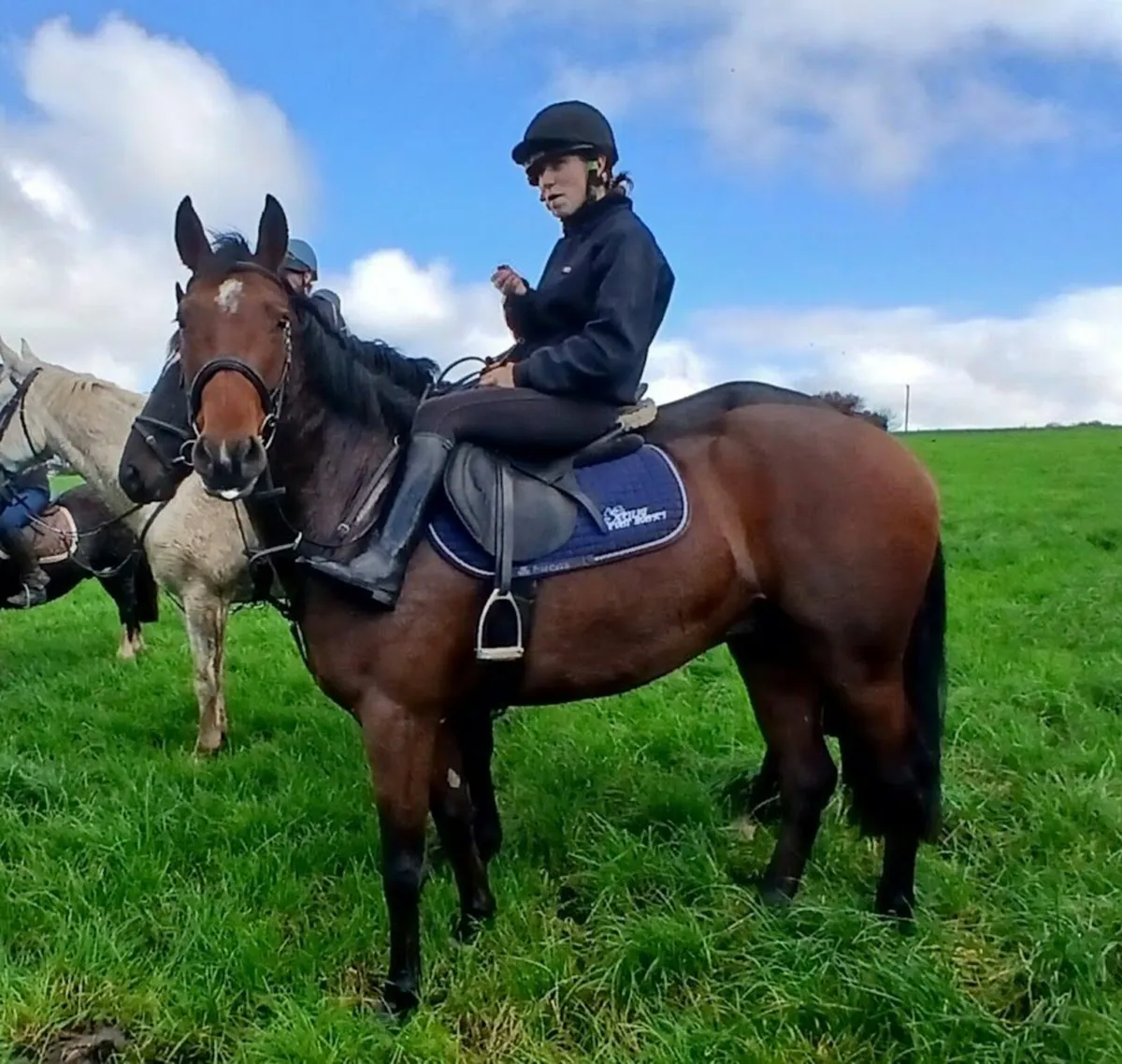 Blakeneys Fionn - Image 3