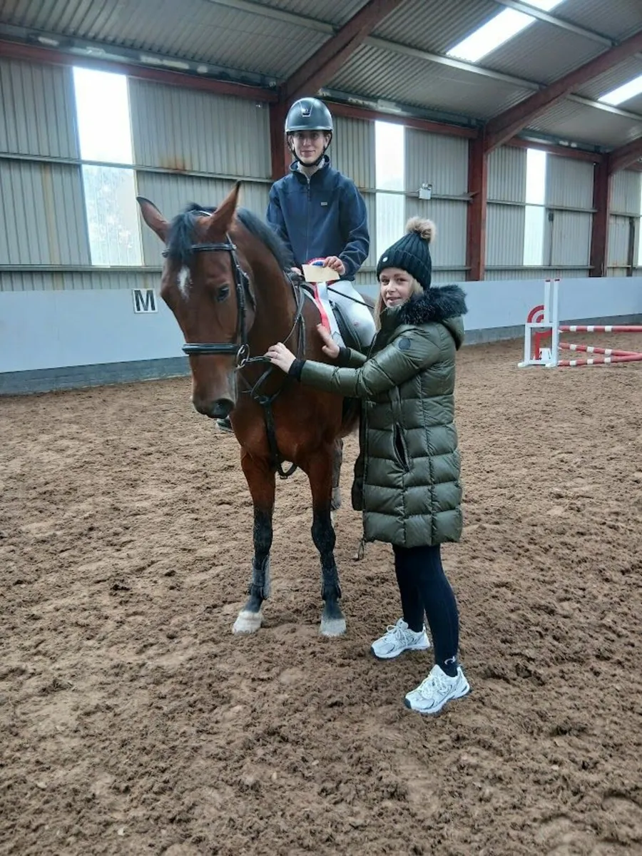 Blakeneys Fionn - Image 4