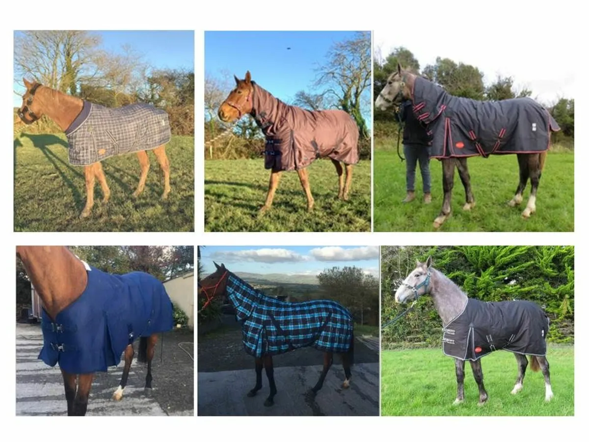 Turnout and Stable Rugs available - Image 1