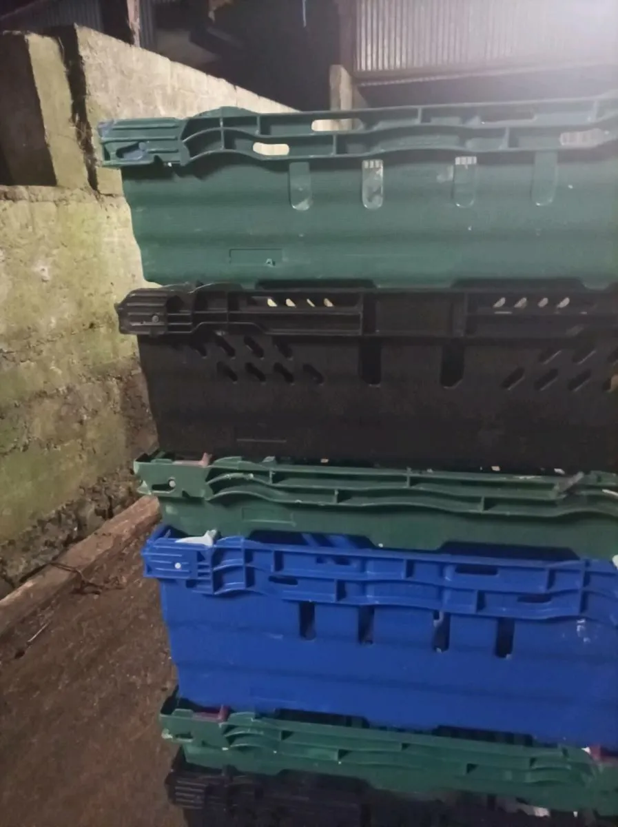 Storage boxes packing crates - Image 2