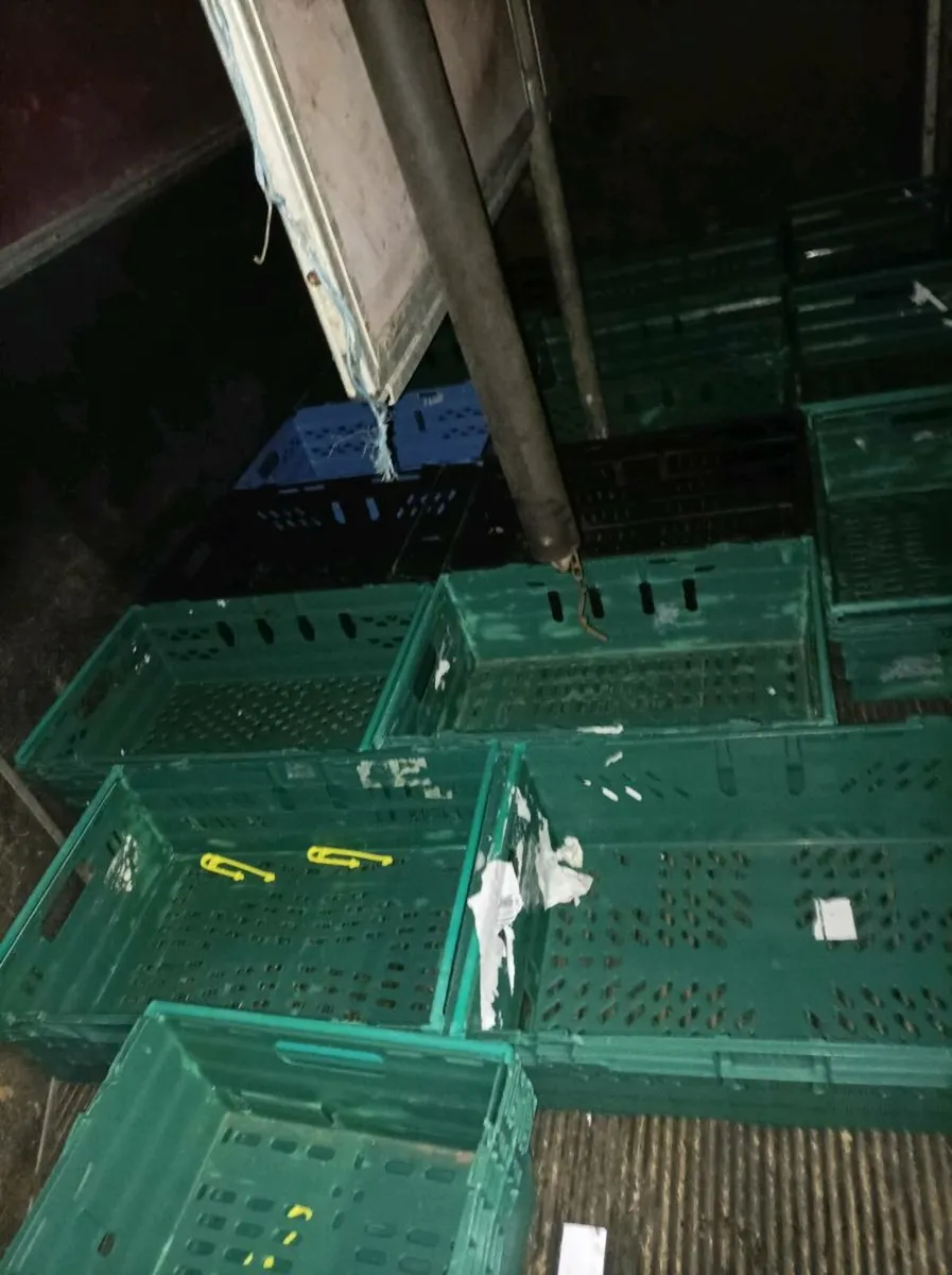 Storage boxes packing crates - Image 3