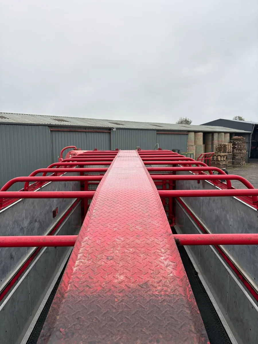 Dooley Cattle Trailer - Image 2