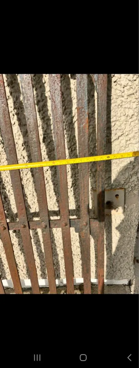 10ft old fordge gates - Image 1