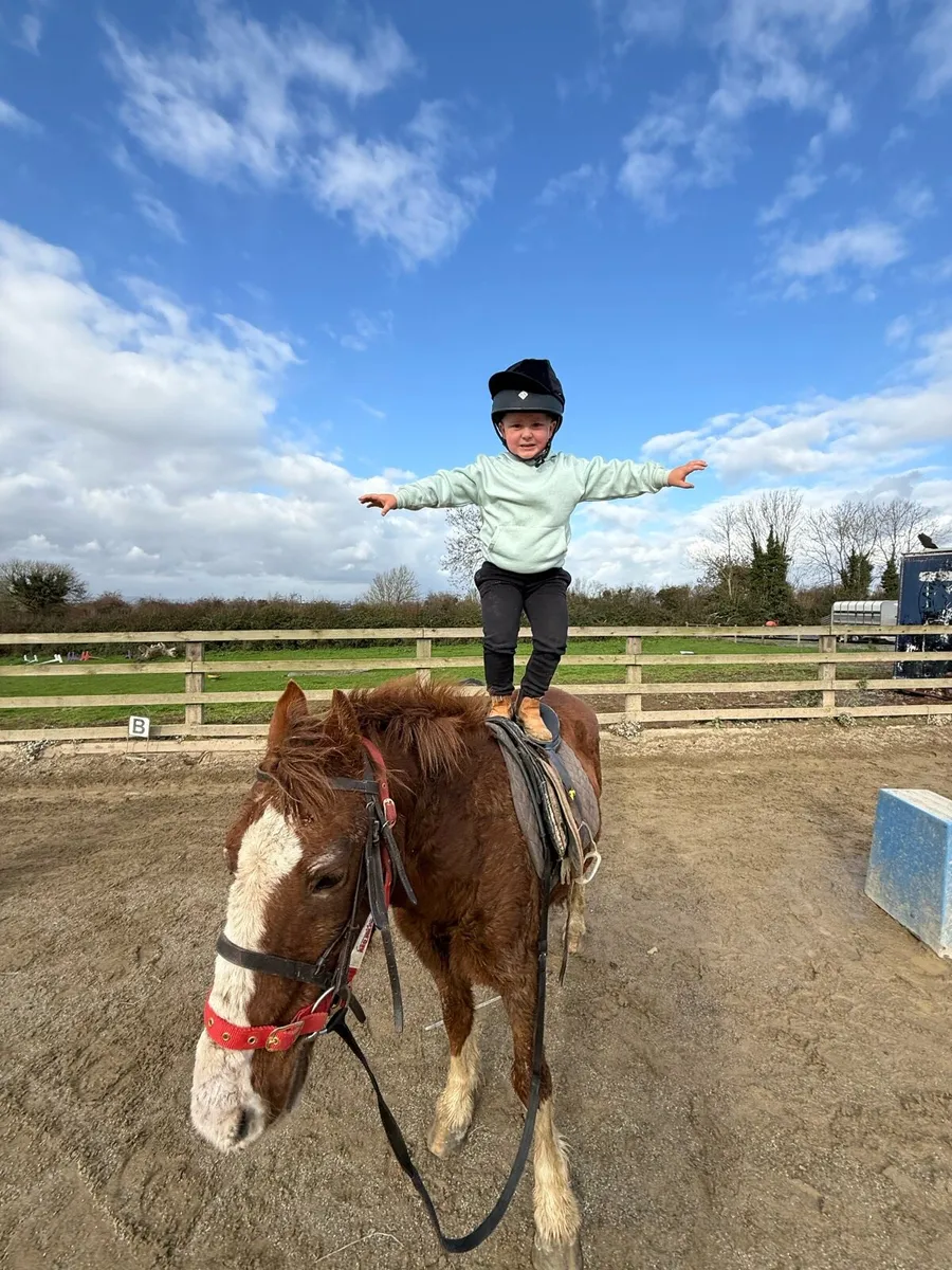 One in a million pony - Image 1