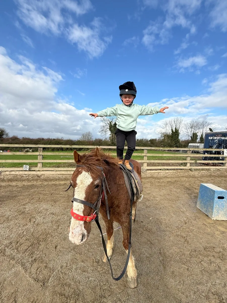 One in a million pony - Image 2