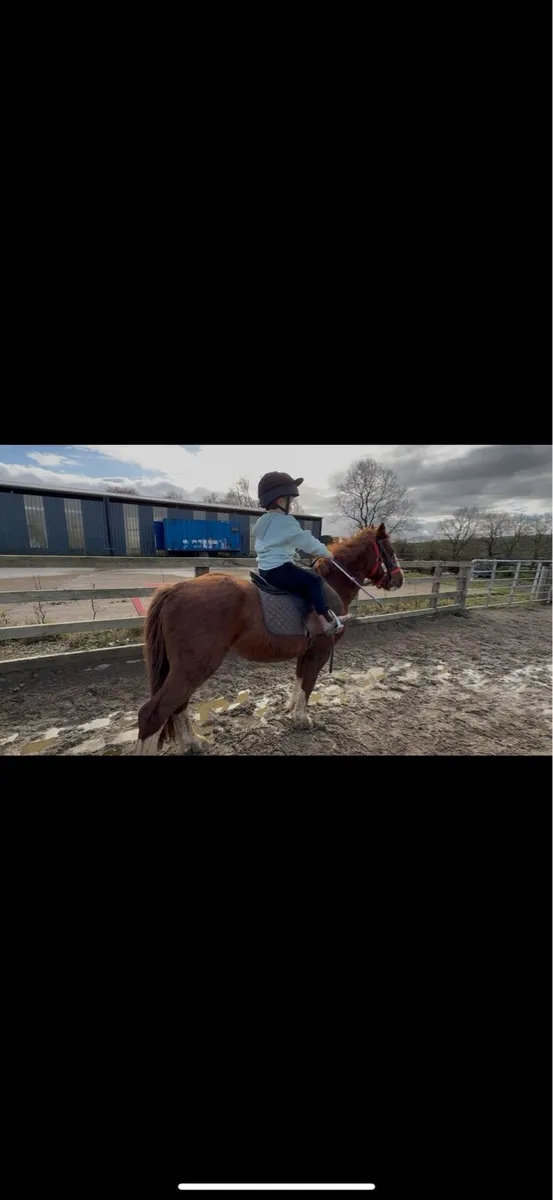 One in a million pony - Image 3