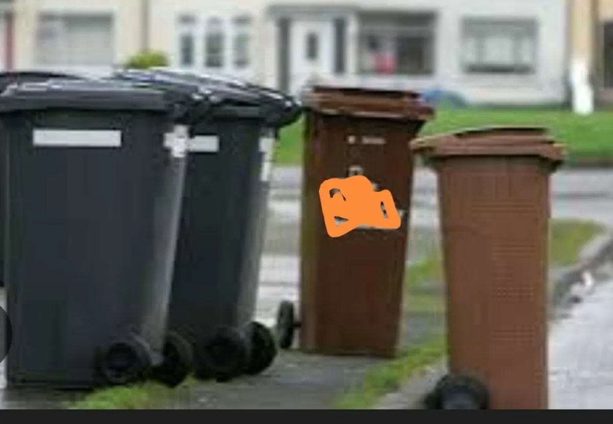 Wheely bin