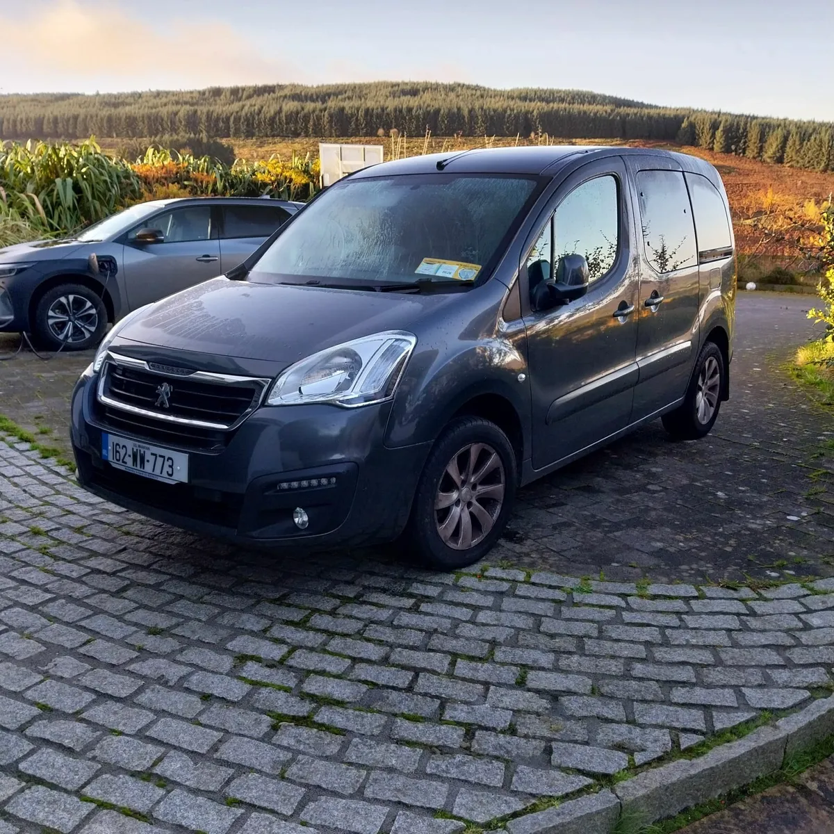 Peugeot Partner Tepee 2016 (price reduced) - Image 1