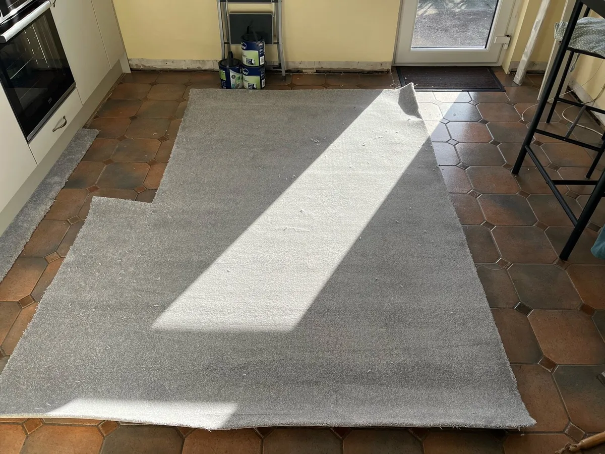 Carpet - Image 1