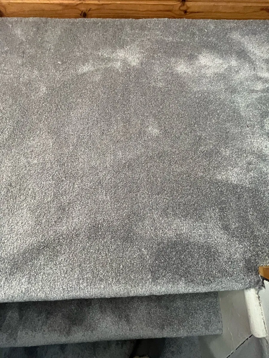 Carpet - Image 4