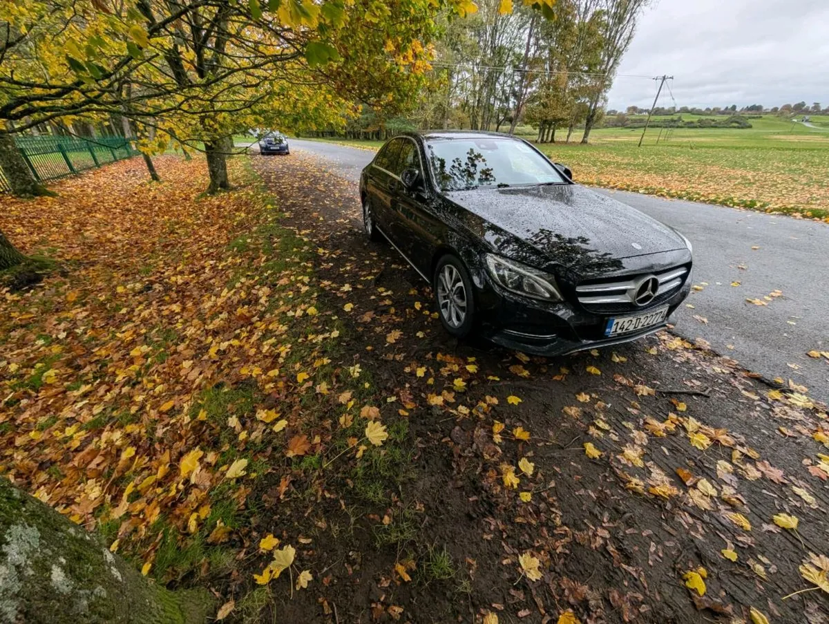 Mercedes 2014 C220 Series Bluetec - Image 2