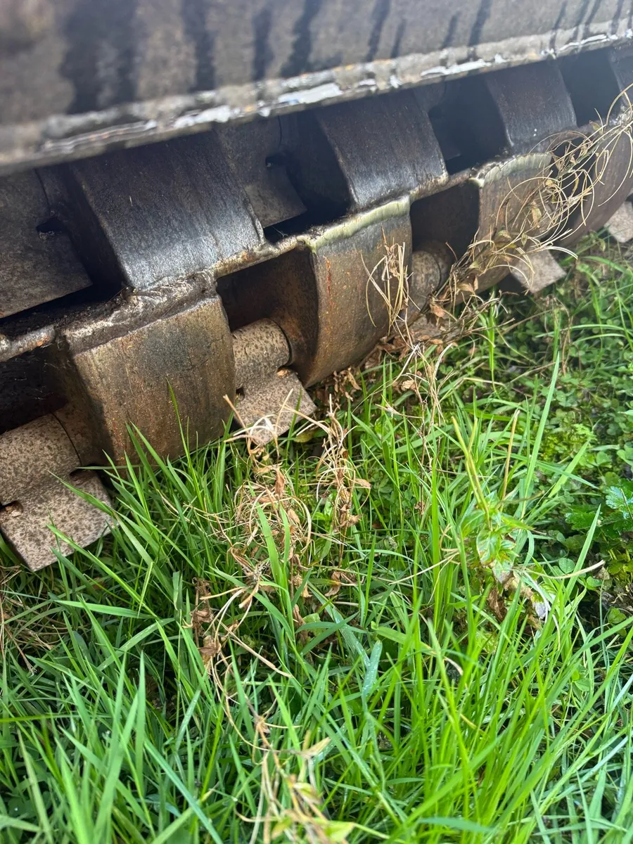 Berti mulcher - Image 2