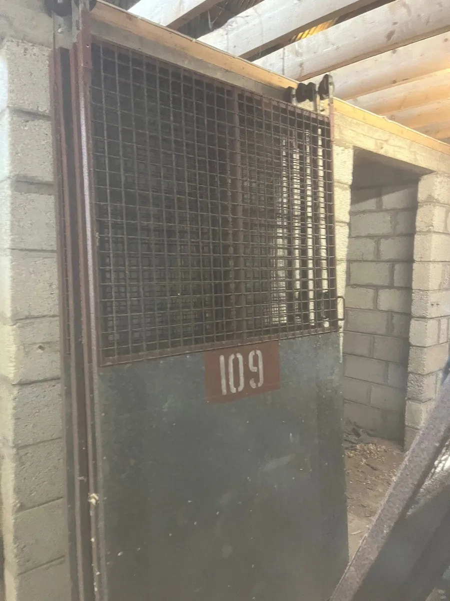 Stable doors - Image 2